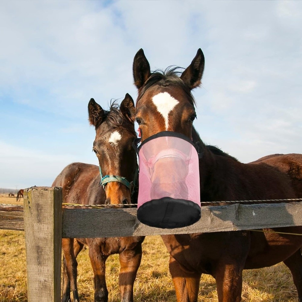 Multi-color Leak-Proof Horse F - Mesh Feeder Bag ulasan dan harga