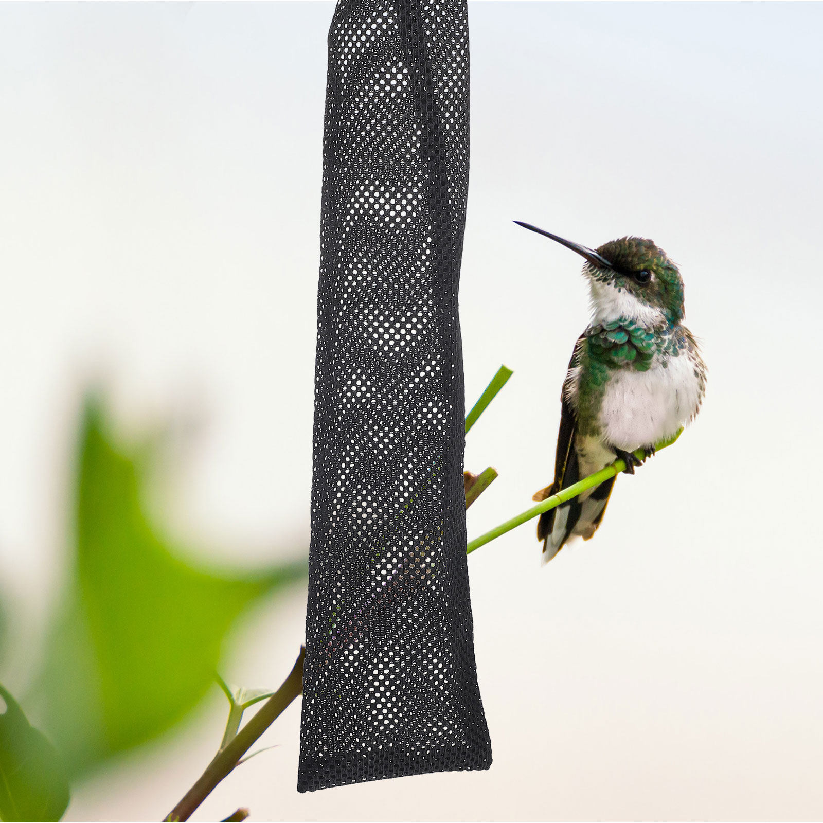 3Pcs Birds Feeding Bags Nylon  - Mesh Feeder Bag ulasan dan harga