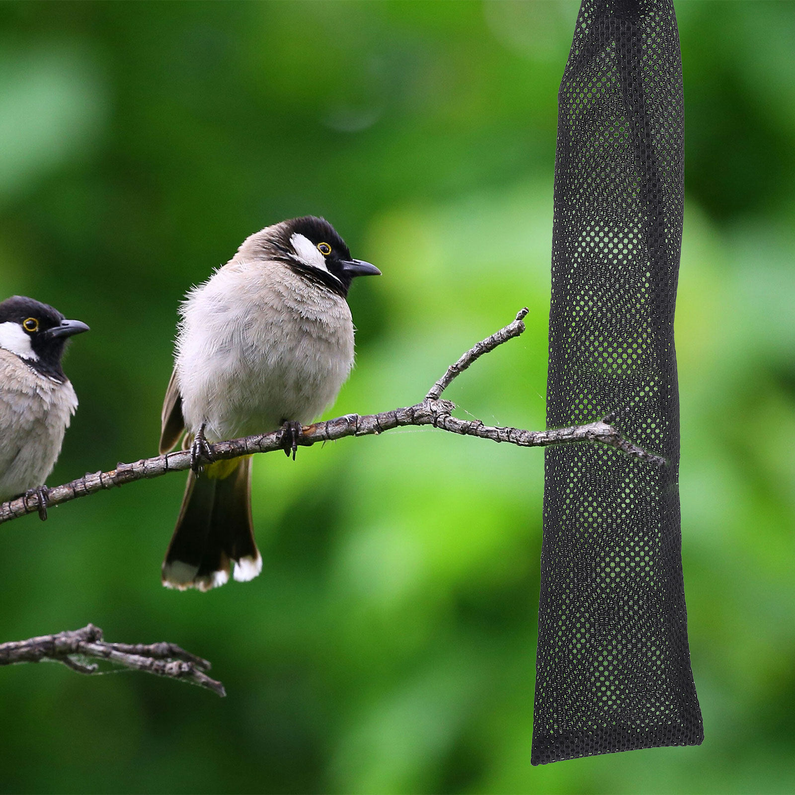 3Pcs Birds Feeding Bags Nylon  - Mesh Feeder Bag ulasan dan harga
